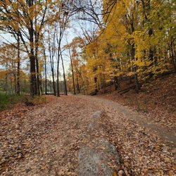 The Riverwood Conservancy