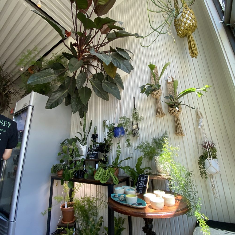 Harlow - Plant wall in waiting space - Vegan Near Me - Portland, Oregon Harlow - Plant wall in waiting space - Vegan Near Me - Portland, Oregon