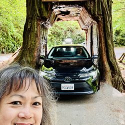 Tour Thru Tree - 05.25.25 peekaboo! coming through...