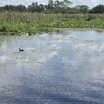 Wild Willy's Airboat Tours - Beautiful lake ! - Boat Tours Near Me - Saint Cloud, Florida