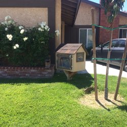 Little Free Library