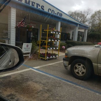 Elberta Farmers Co-Op - Elberta, Alabama Elberta Farmers Co-Op - Elberta, Alabama