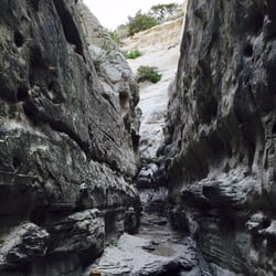 Lewis & Clark Trail Adventures - Daily hike