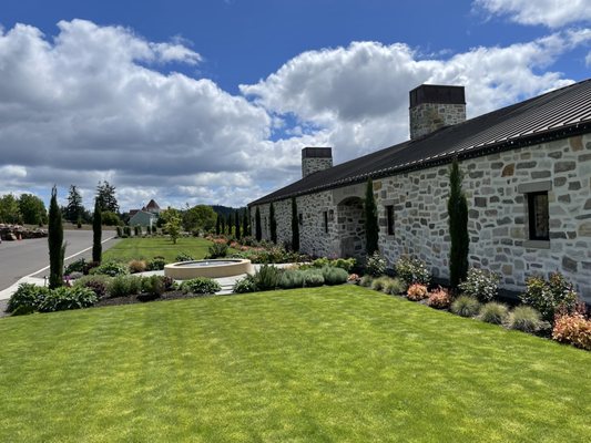 Alloro Vineyard by null