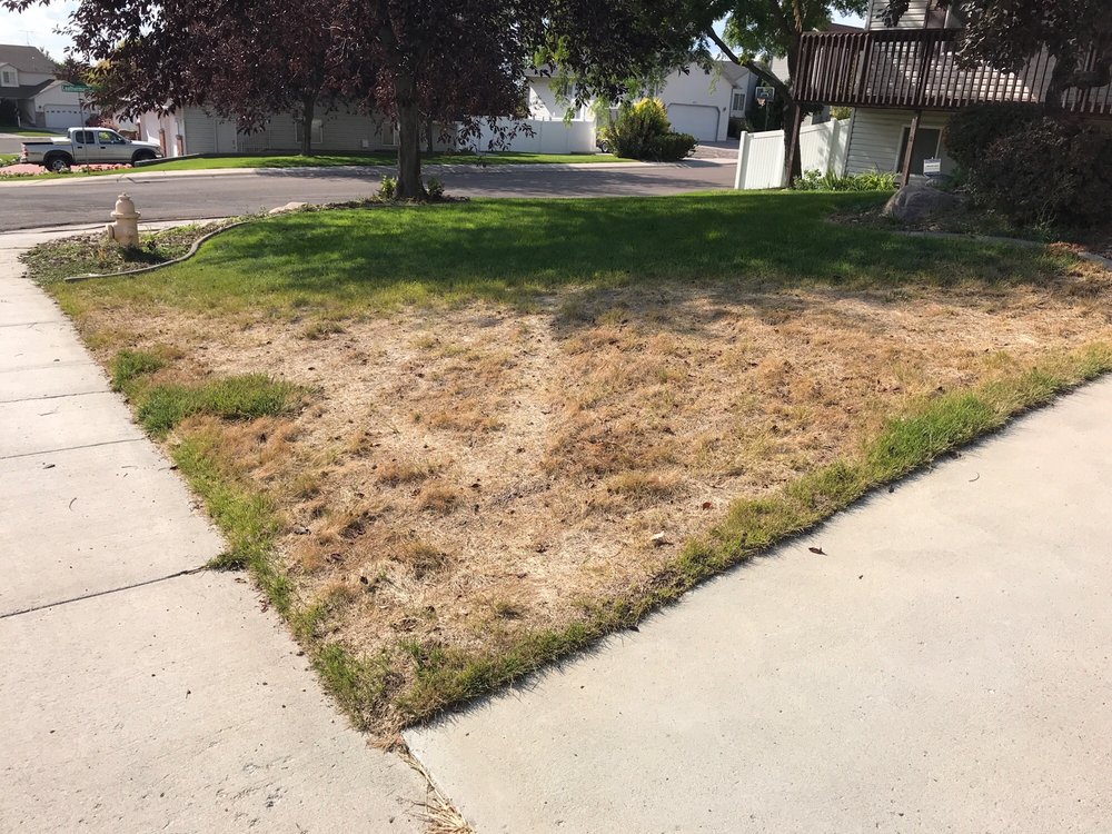 OLD FAITHFUL SPRINKLER & LANDSCAPE Updated August 2024 Pocatello