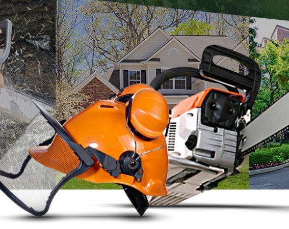 WOODY WOODPECKER TREE SERVICE - Updated June 2024 - 1050 Milton St