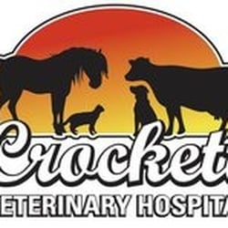 CROCKETT VETERINARY HOSPITAL