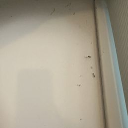 Wall of dust and cob webs. I verified at the start that they were dusting walls and ceilings.
