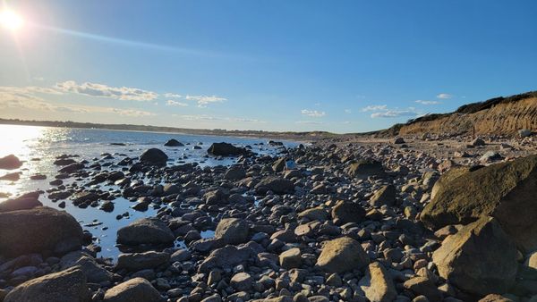 South Shore Beach by null