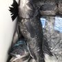 Photo of Morning Star Sport Fisheries