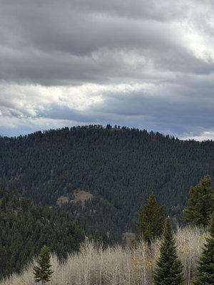 Snow King Mountain by null