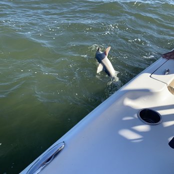 All In One Charters - Boat Charters Near Me - Charleston, South Carolina All In One Charters - Boat Charters Near Me - Charleston, South Carolina
