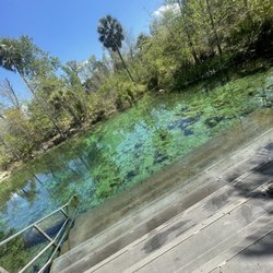 Econfina Creek Canoe Livery - Pitts Spring