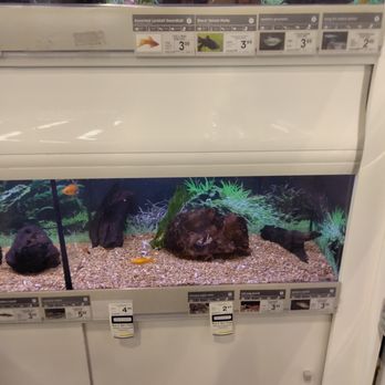 Petco - Pet Stores Near Me - Palm Coast, Florida Petco - Pet Stores Near Me - Palm Coast, Florida