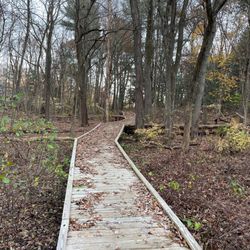Morses Pond - Walking