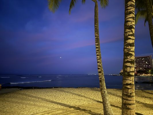 Waikīkī Beach by null