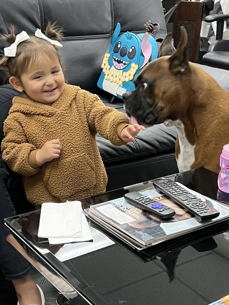 COMPLETE AUTOMOTIVE Updated September 2024 15 Photos & 48 Reviews 5625 State Farm Dr