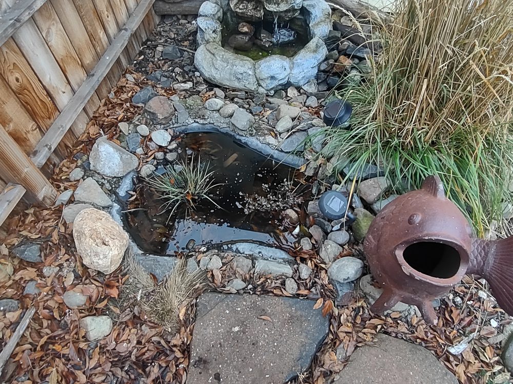 Martinez Frog Sanctuary - social services organization in White City, OR