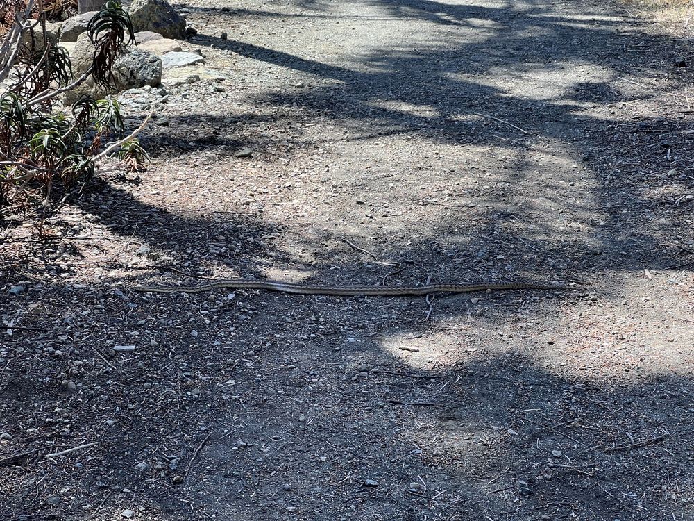 Social spots from Leaning Pine Arboretum