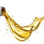 Photo of Express Lane Oil Change