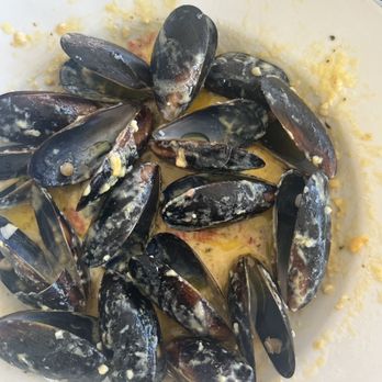 Steamers of Naples - Anyone up for cold Mussels in congealed butter-ish sauce? - Seafood Near Me - Naples, Florida Steamers of Naples - Anyone up for cold Mussels in congealed butter-ish sauce? - Seafood Near Me - Naples, Florida
