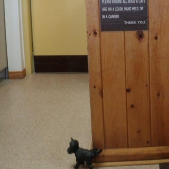 Village Animal Clinic - Veterinarians Near Me - Markham, Ontario Village Animal Clinic - Veterinarians Near Me - Markham, Ontario