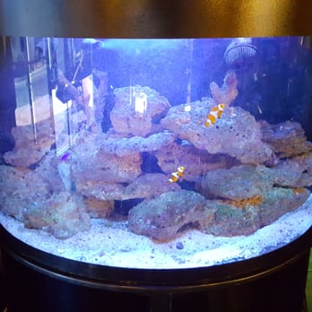 SushiKo - We found Dory and Nemo at the same time! - Sushi Bars Near Me - Bakersfield, California SushiKo - We found Dory and Nemo at the same time! - Sushi Bars Near Me - Bakersfield, California