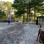 Church Square Park Dog Run