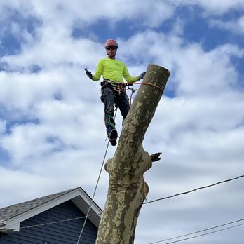 Kristian Tree Service - Tree Services Near Me - Charlotte, North Carolina Kristian Tree Service - Tree Services Near Me - Charlotte, North Carolina