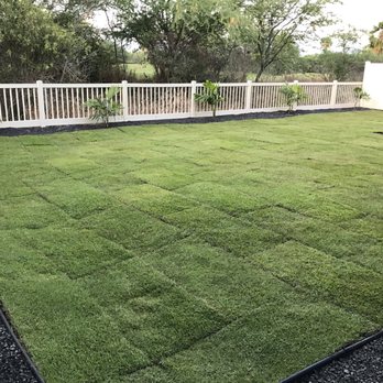 Estrada Landscape Services - SOD laid out - Landscaping Near Me Estrada Landscape Services - SOD laid out - Landscaping Near Me