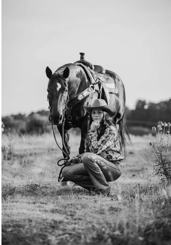 Clever Horses - equestrian in Cleveland, TN