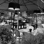 Photo of Gucci Giardino 25