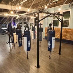 Personal Space Fitness - Boxing rig at Lindenwood Park location