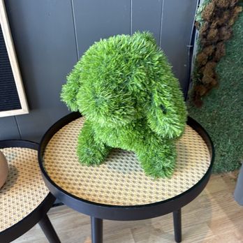 Cafe Zoomies - Coffee & Tea Near Me - Ventura, California Cafe Zoomies - Coffee & Tea Near Me - Ventura, California