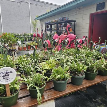 Garden Shack - Nurseries & Gardening Near Me - Jacksonville, Florida Garden Shack - Nurseries & Gardening Near Me - Jacksonville, Florida