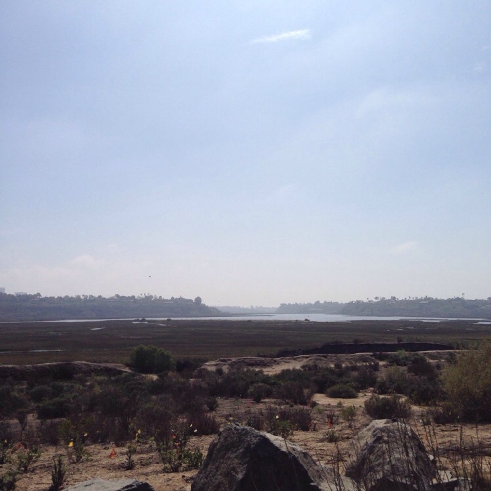 Peter and Mary Muth Interpretive Center - View from the nature center - Hiking Near Me - Newport Beach, California Peter and Mary Muth Interpretive Center - View from the nature center - Hiking Near Me - Newport Beach, California