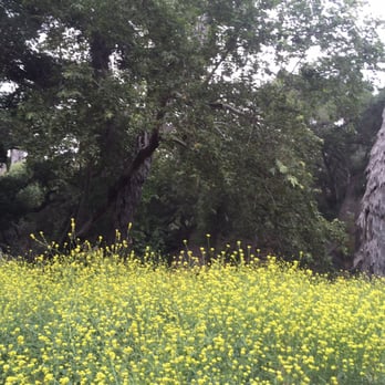 Felicita County Park - Parks Near Me - Escondido, California