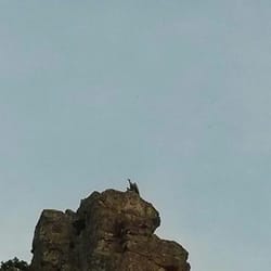 Parque Nacional de Monfragüe - Buitre en lo alto de un risco.
