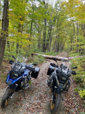 Mount Greylock State Reservation by null