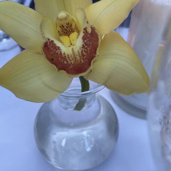 Casa Tua - Orchid - Italian Near Me - Miami Beach, Florida Casa Tua - Orchid - Italian Near Me - Miami Beach, Florida