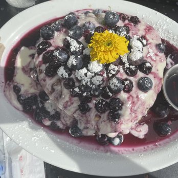 Bistro Cafe - Blueberry pancakes - Breakfast & Brunch Near Me - Miami, Florida