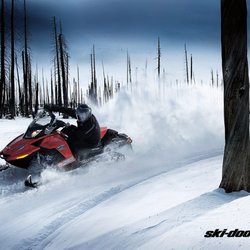 P-Dog Snowmobile Rental and Repair