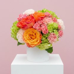 The Wild Flower Designs & Events