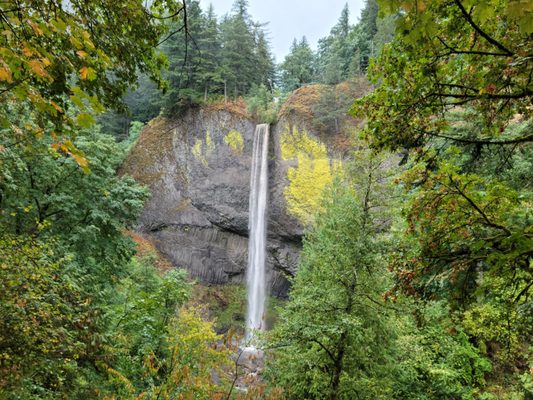Latourell Falls by null