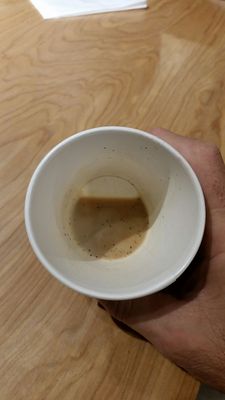 Paloma Parlor by null