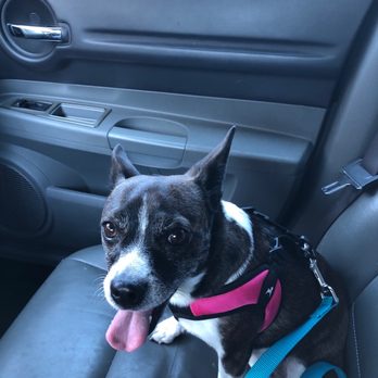 PetSmart - Pet Stores Near Me - Chula Vista, California