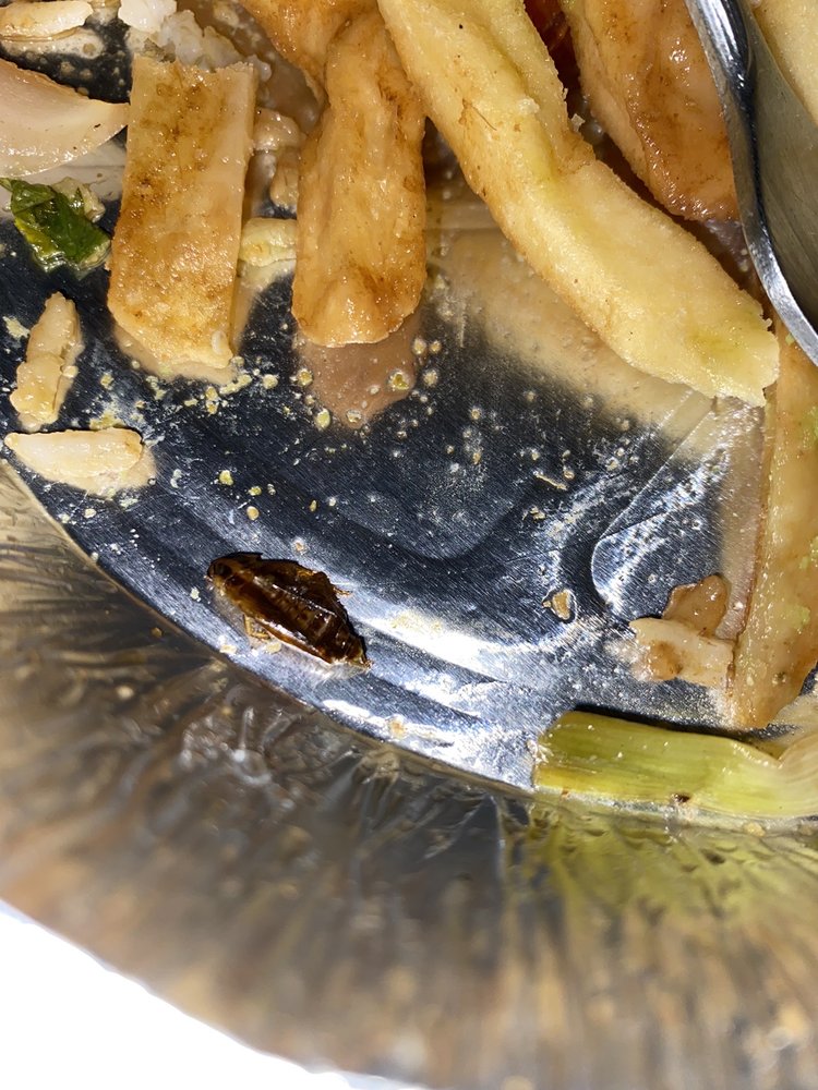 VERACRUZ Updated September 2024 59 Photos & 74 Reviews 24 W Post