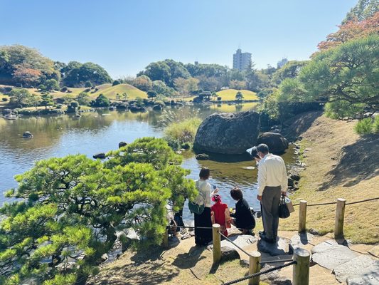 Suizenji Jojuen Garden by null