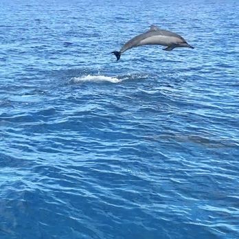 Maui Snorkel Charters - Boat Tours Near Me - Kihei, Hawaii