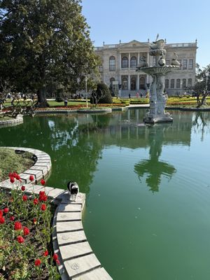 Dolmabahçe Palace by null